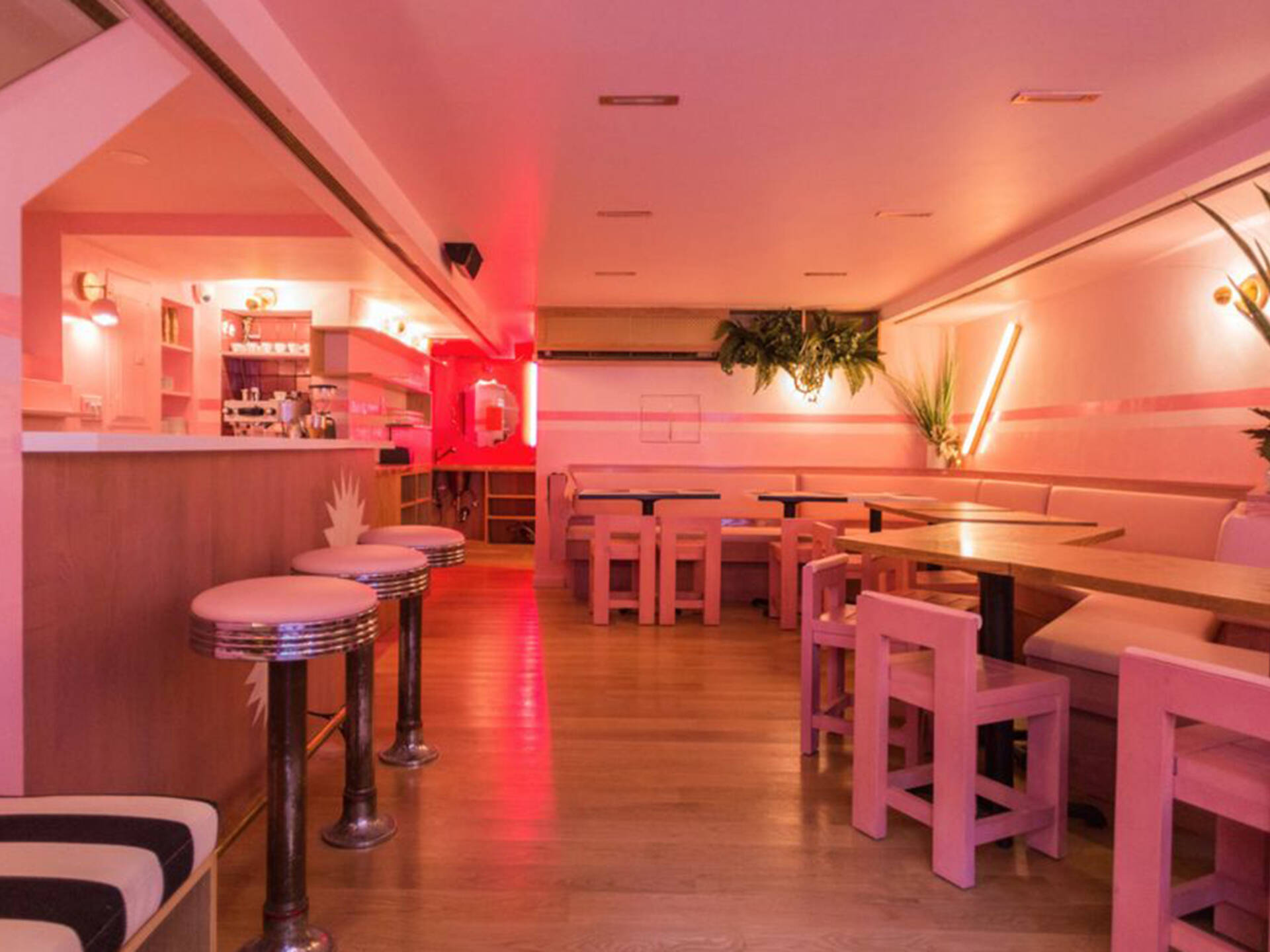 Best restaurants to take mom to in NYC for Italian or sushi