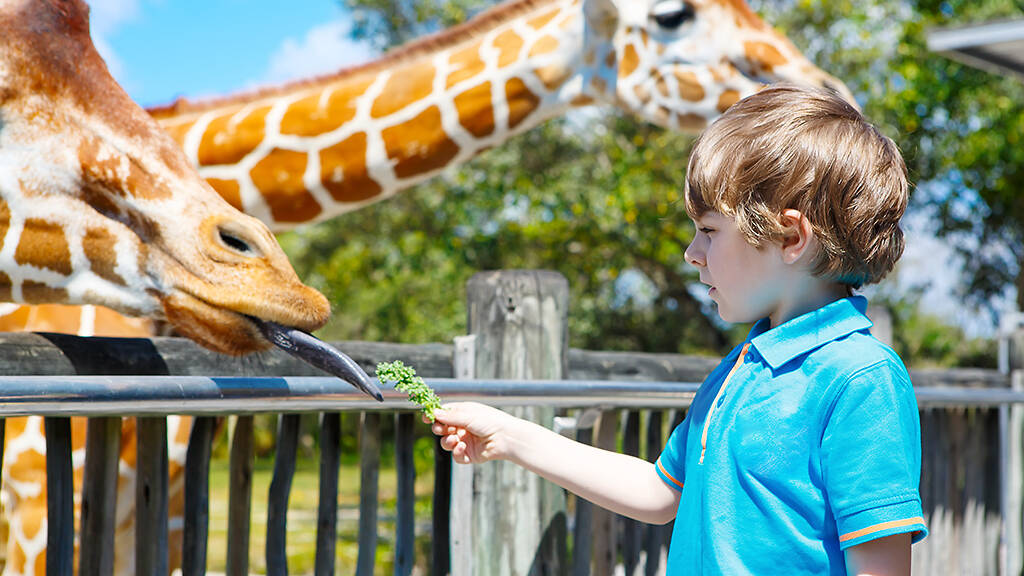 24 Best Zoos in the US