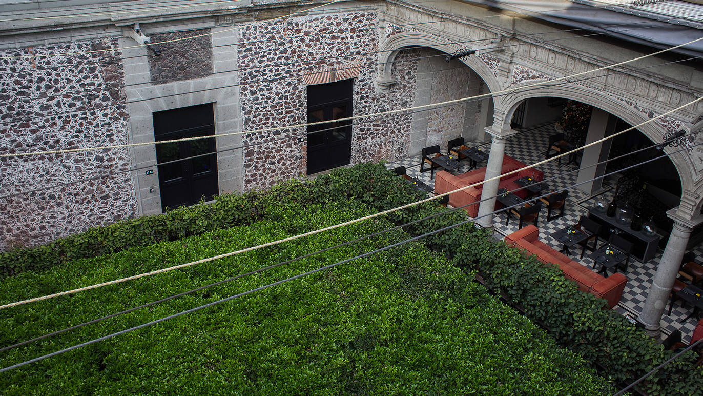 Downtown México Rooftop Bar