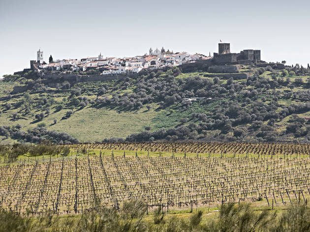 São Lourenço do Barrocal - Vinhas São Lourenço do Barrocal - Vinhas