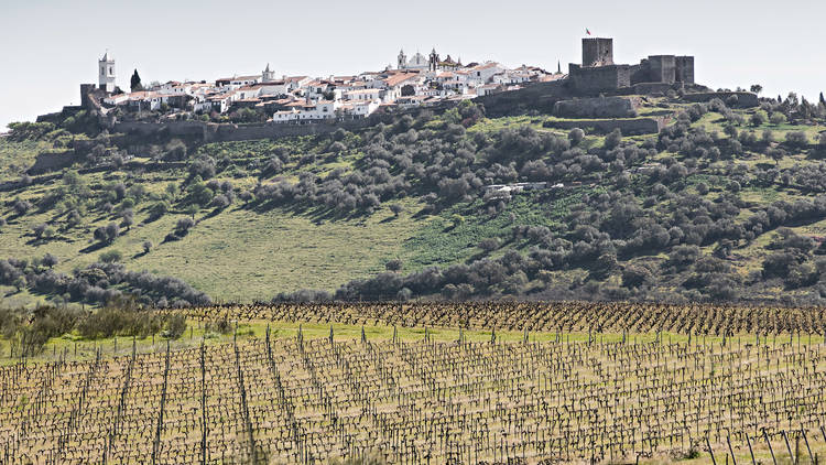 São Lourenço do Barrocal - Vinhas