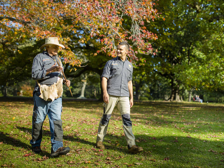 Royal Botanic Gardens’ Aboriginal Heritage Walk