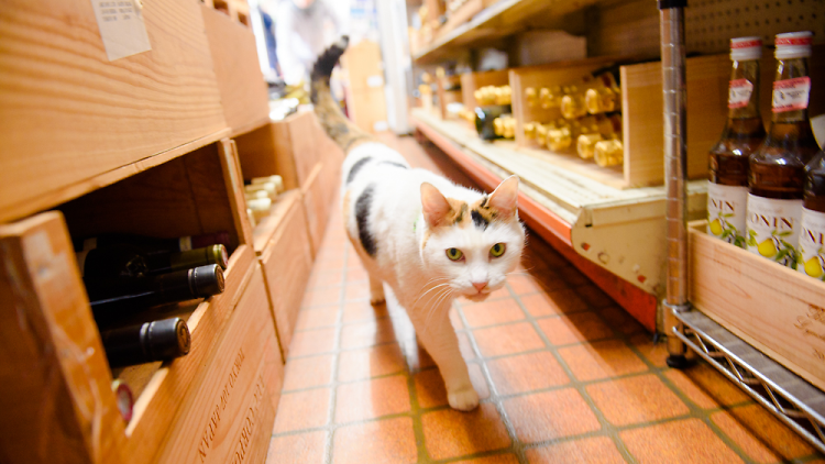 伊勢屋商店