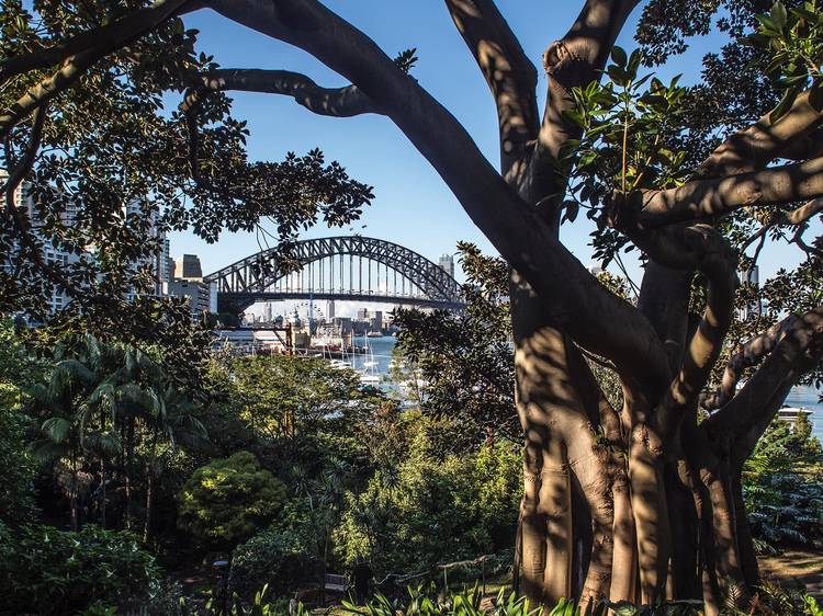 Explore Sydney's top secret garden