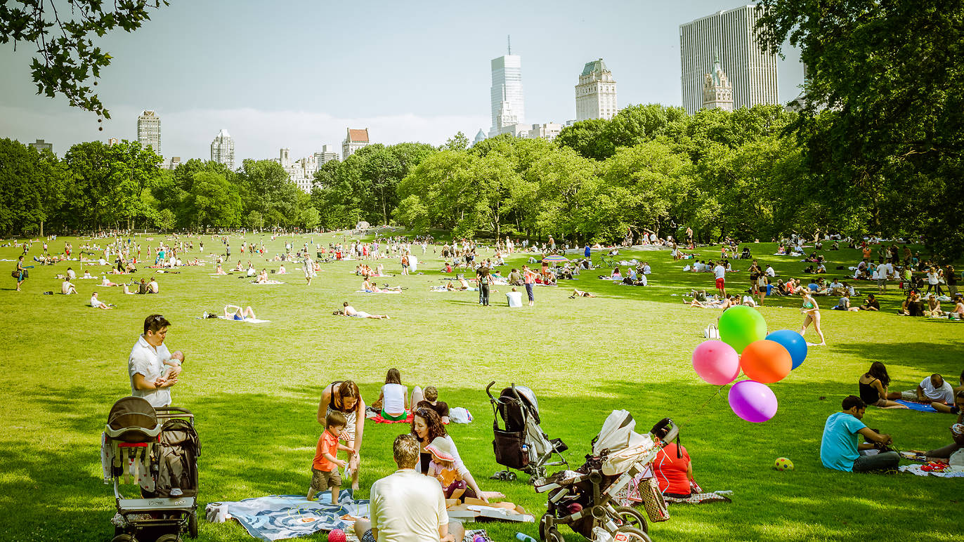 Best picnic spots in Central Park for a picturesque, outdoor meal