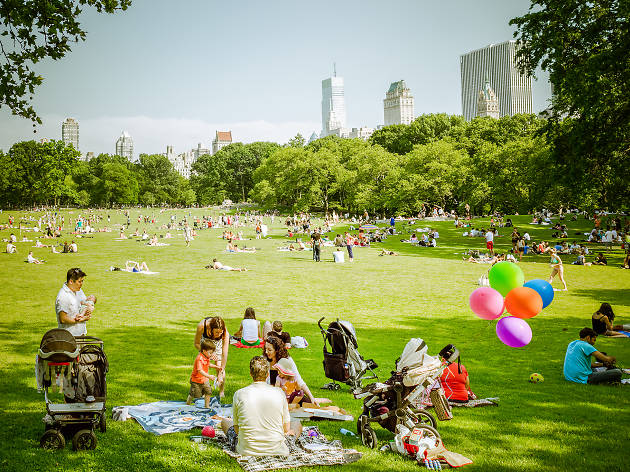 Best picnic spots in Central Park for a picturesque, outdoor meal