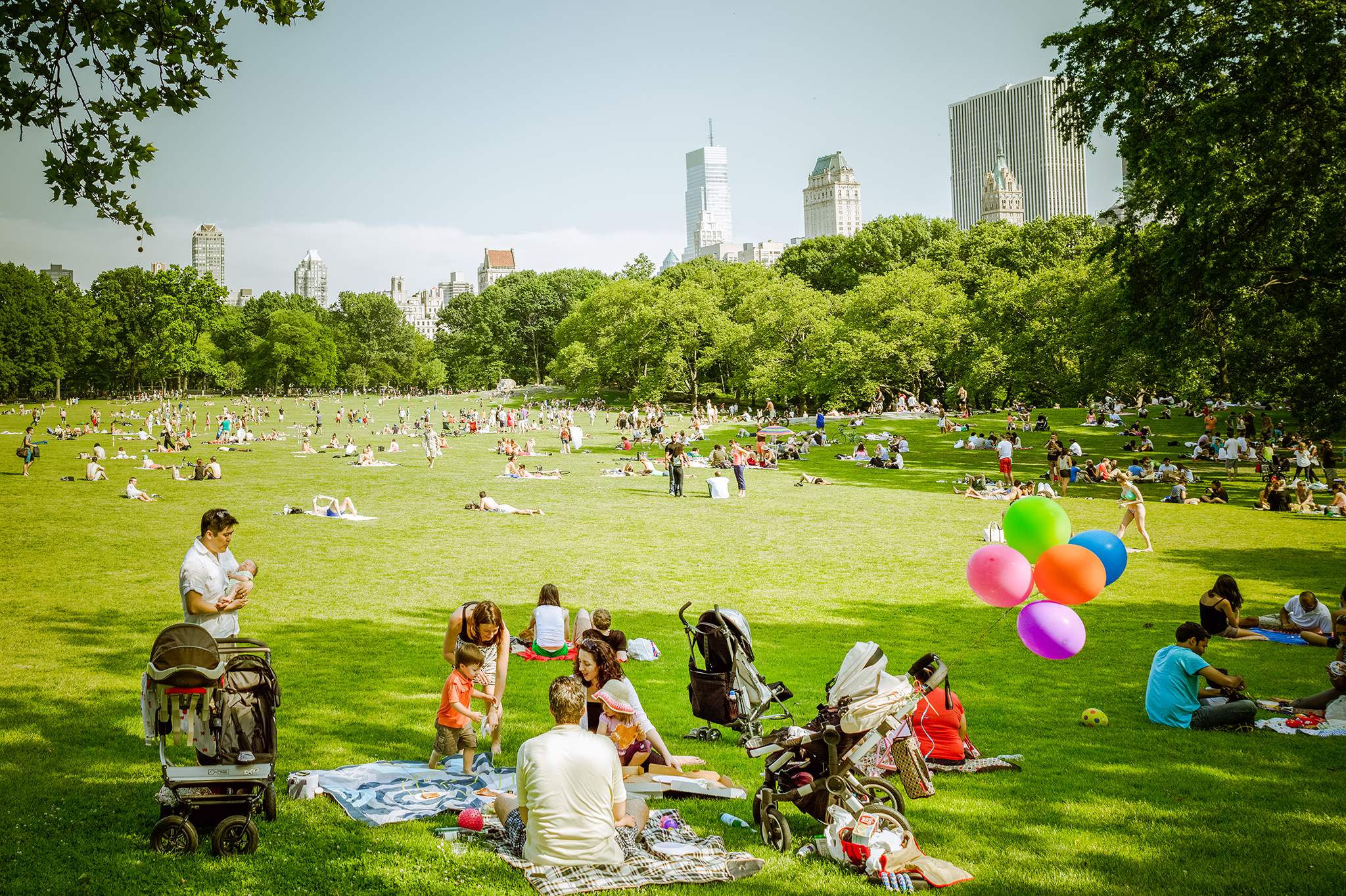 Picnic In Park Picnic In Park