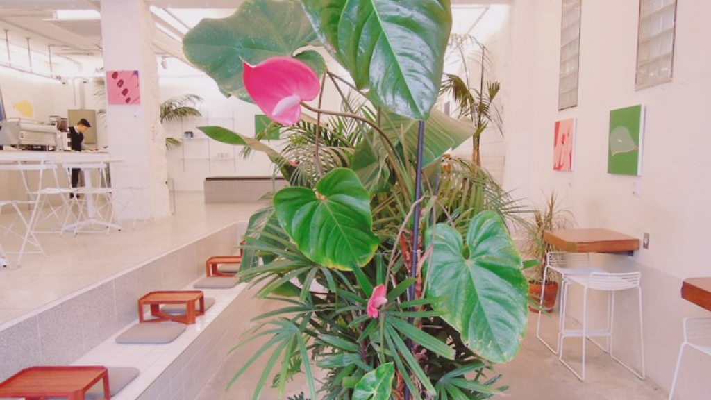 A sauna or a café? 5 unique cafés in Seoul that are in right now.