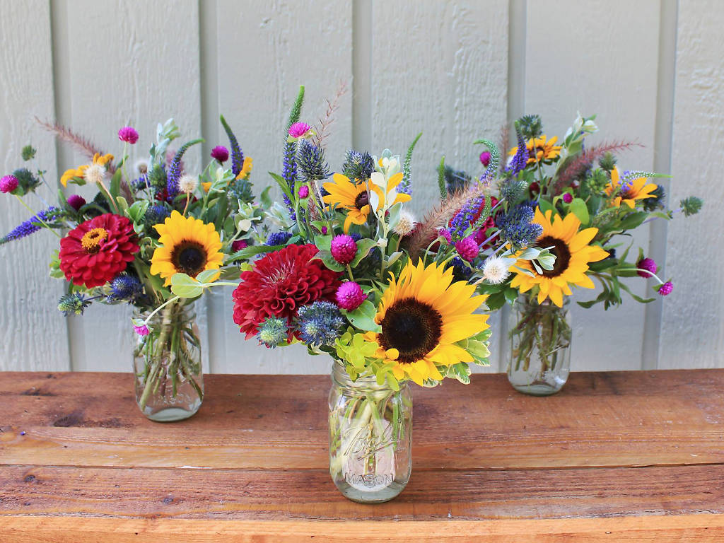 10 Best Flower Shops in Austin For All Your Floral Needs