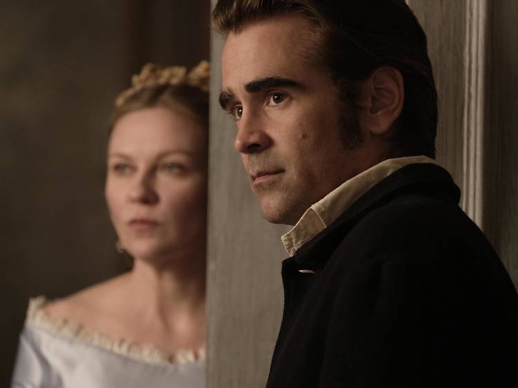 The Beguiled