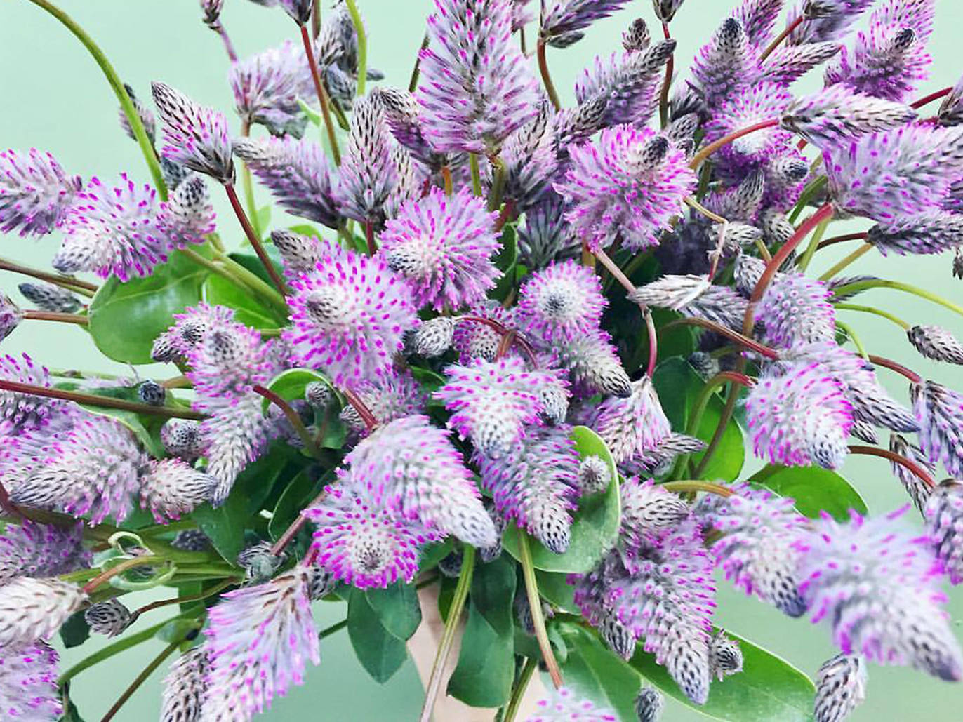 10 Best Flower Shops in Austin For All Your Floral Needs