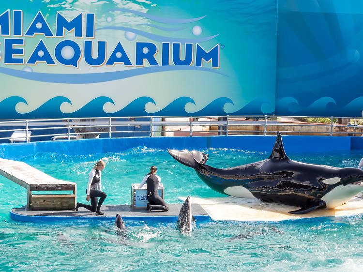 Miami Seaquarium