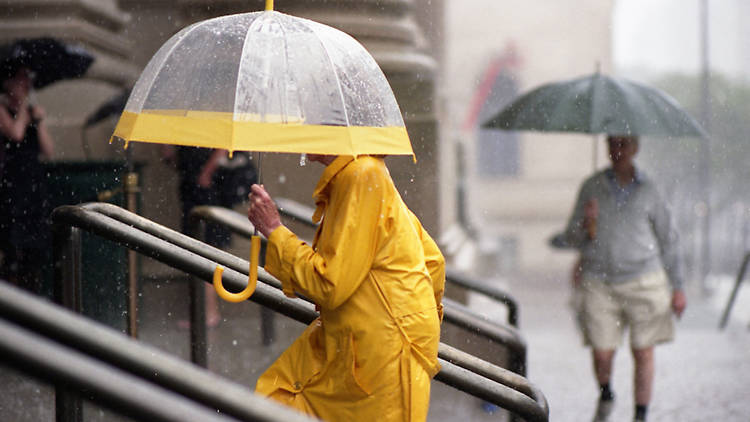 Rain in NYC