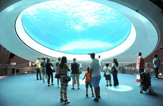 Phillip And Patricia Frost Museum Of Science Miami Fl Things To Do In Downtown Miami