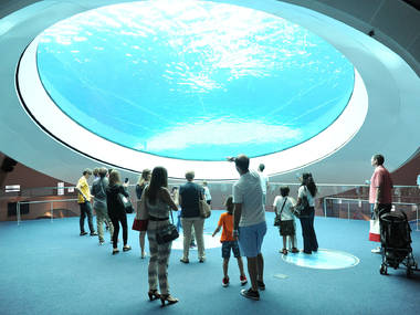 Phillip and Patricia Frost Museum of Science Phillip and Patricia Frost Museum of Science