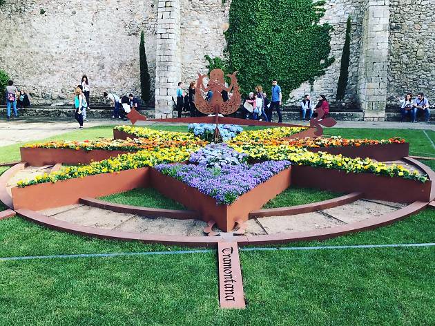 Temps de Flors 2017 Temps de Flors 2017