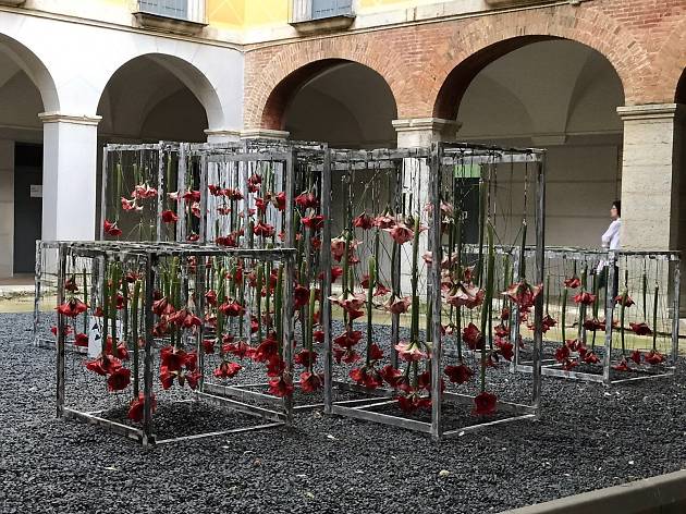 Temps de Flors 2017 Temps de Flors 2017
