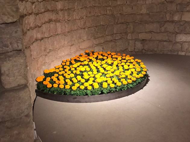 Temps de Flors 2017 Temps de Flors 2017