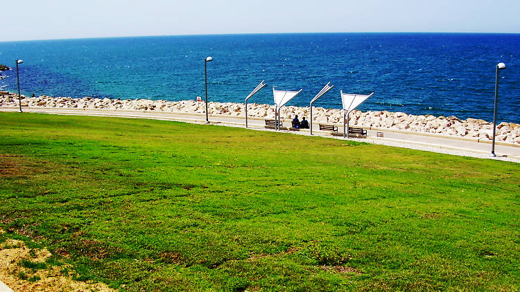 Midron Yaffo Park