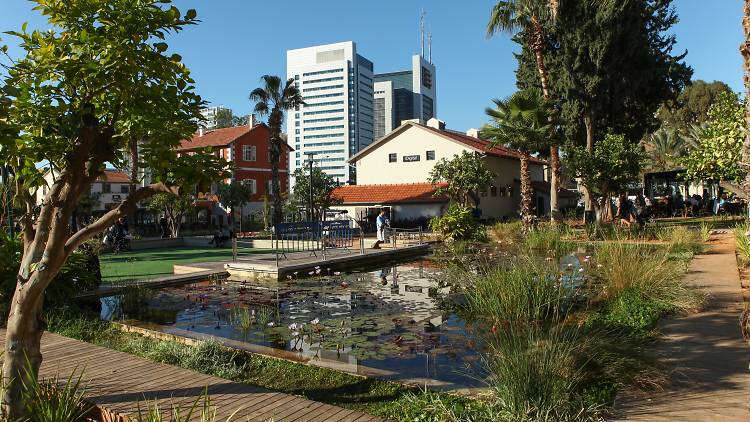 The grass outside Sarona Market