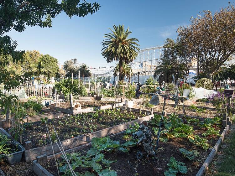 Veg Out Community Gardens