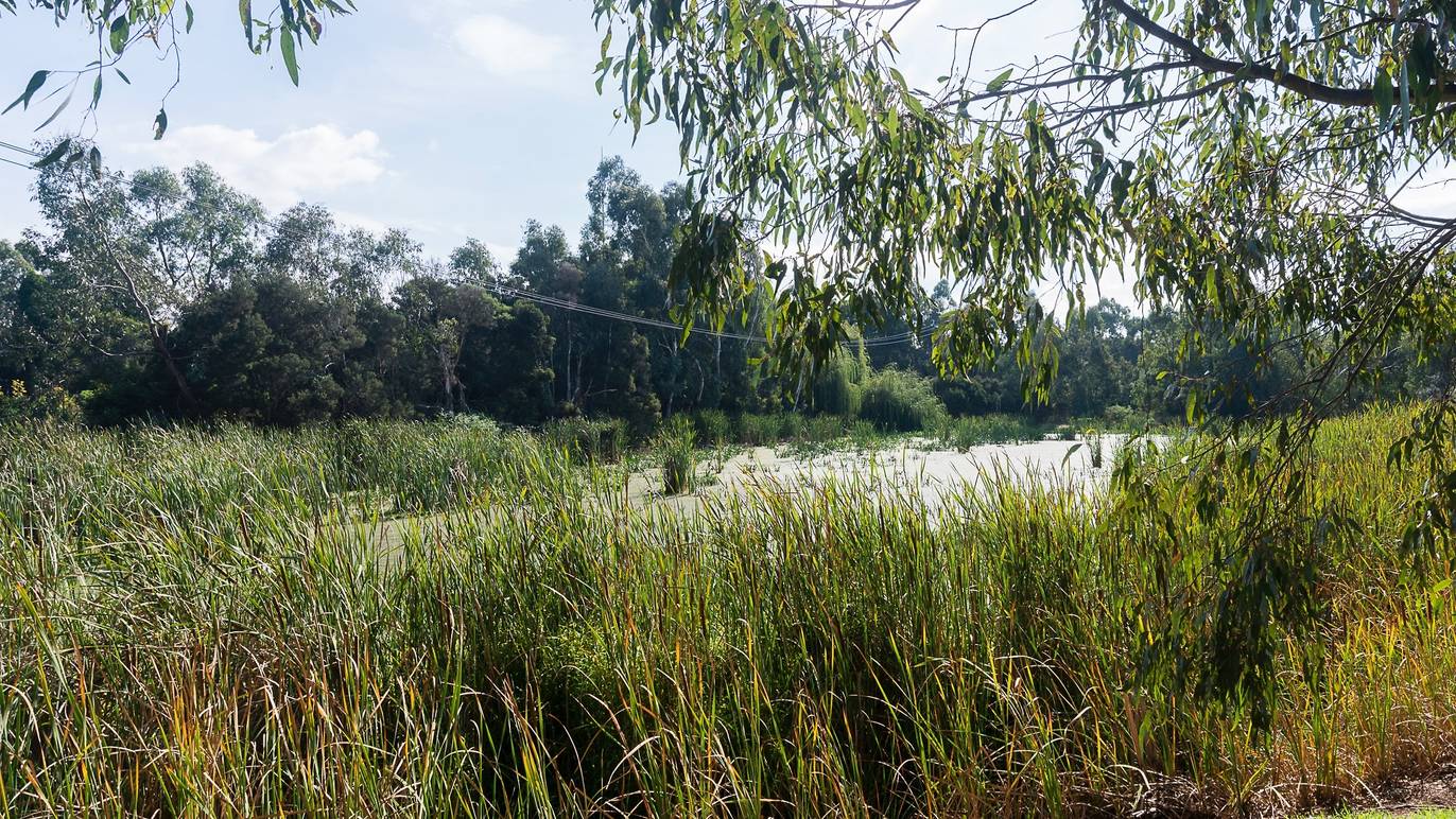 Hays Paddock Park | Attractions in Kew East, Melbourne