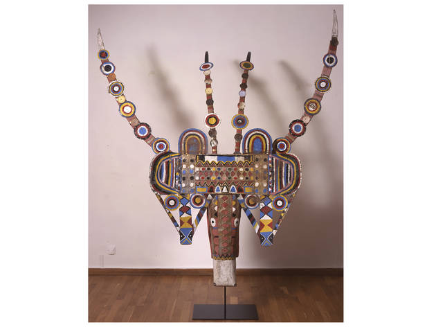 Cabeça de grande antílope cavalo