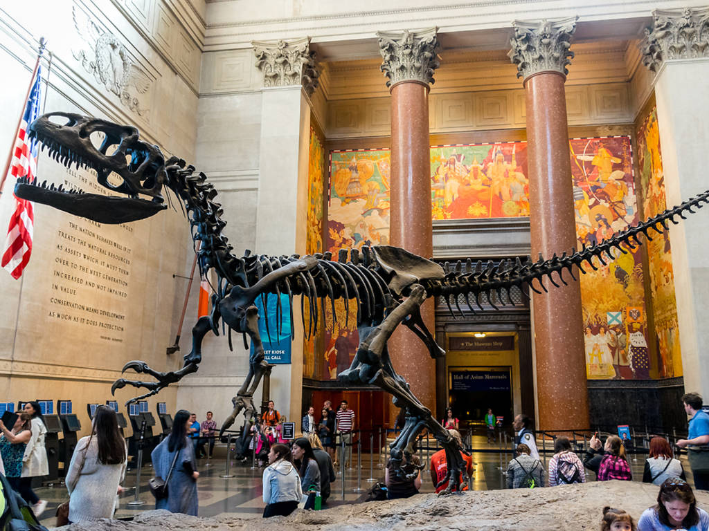 23 Best Toddler Activities in NYC