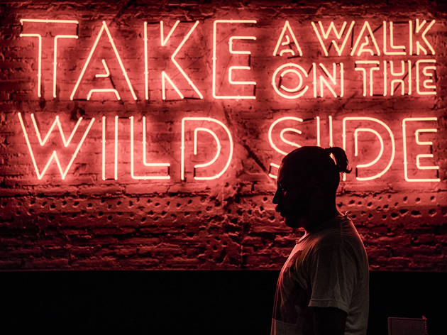 Wild Live Wild Live