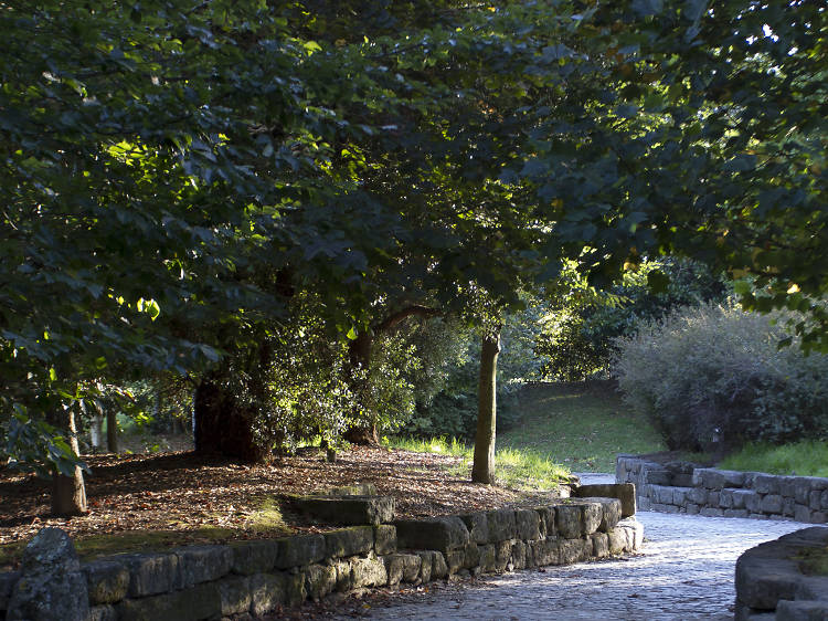 Take a stroll in the largest urban park in the country