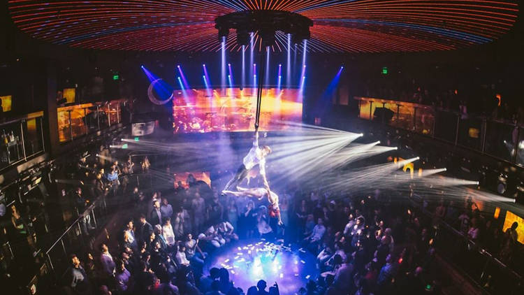 11 Best Strip Clubs in Miami for a Wild Night Out