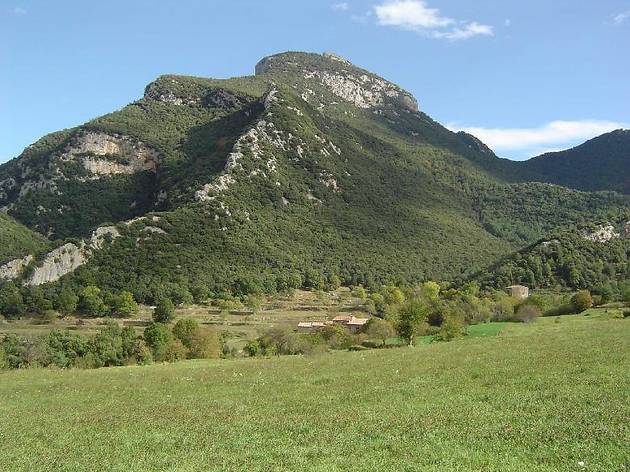 Bassegoda Bassegoda