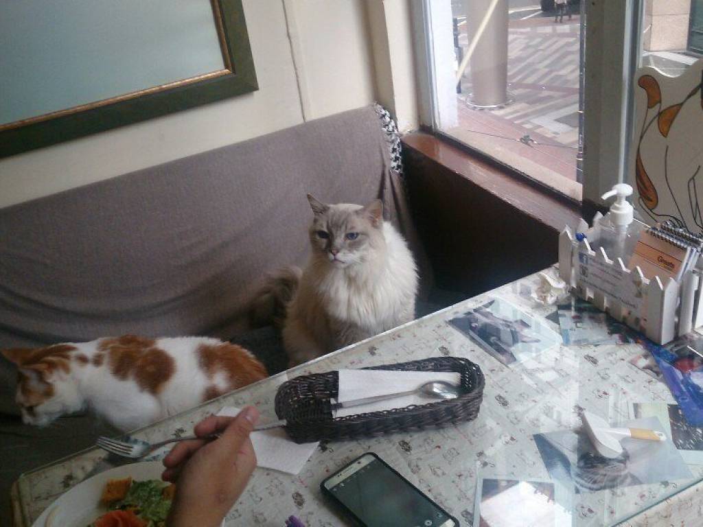 Causeway Bay Hong Kong Ultimate Guide