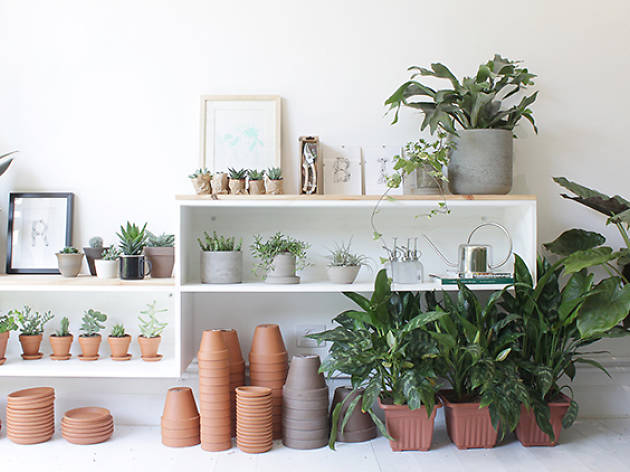 We Love Plants We Love Plants