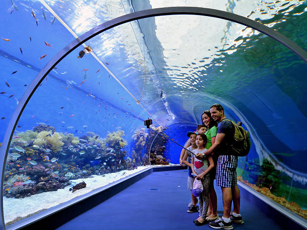 Underwater Observatory Eilat Underwater Observatory Eilat