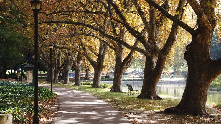 The 8 best parks in Perth for picnics and playgrounds