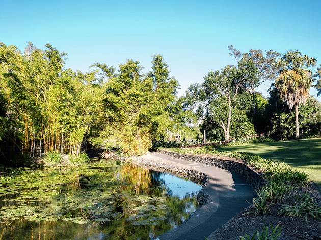 Botanic gardens mount coot tha