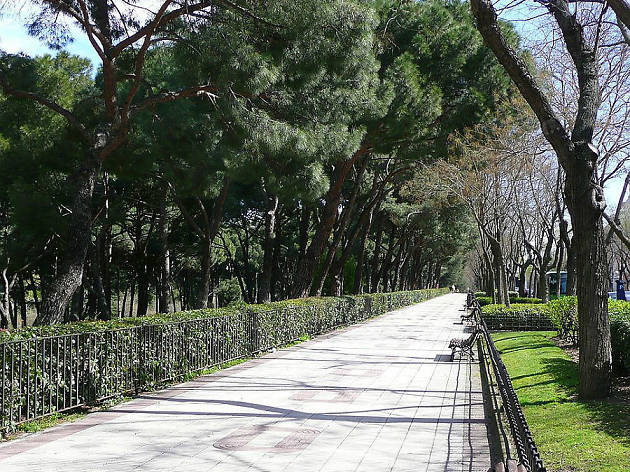Paseo del Pintor Rosales Paseo del Pintor Rosales