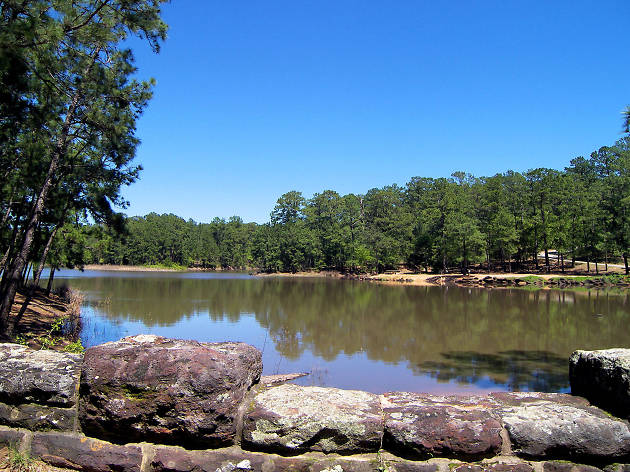 Bastrop State Park