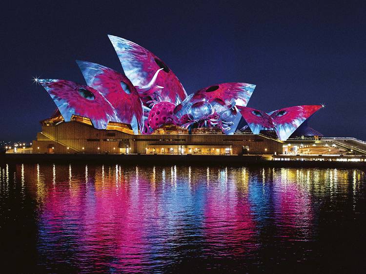 Where to eat and drink near the Sydney Opera House