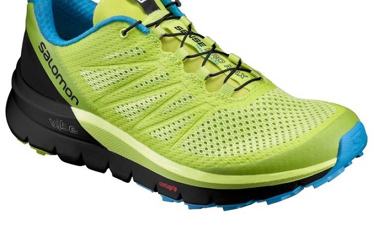 Descubrir las Salomon Sense Pro Max