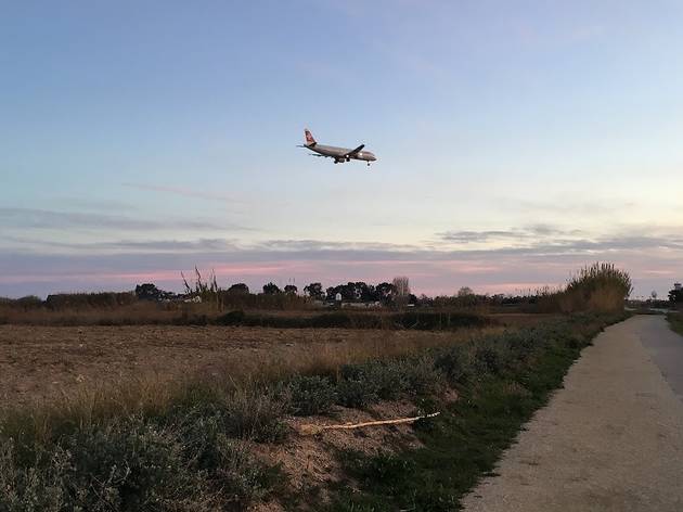 El Delta de Llobregat El Delta de Llobregat
