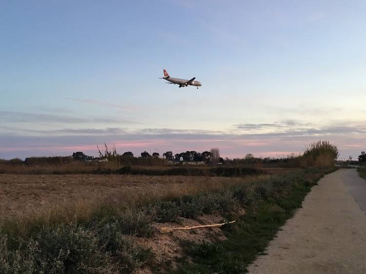 El Delta de Llobregat