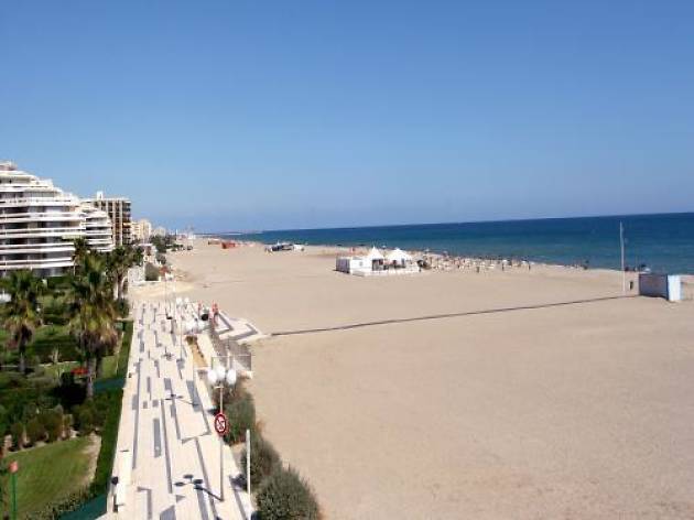 Canet Canet