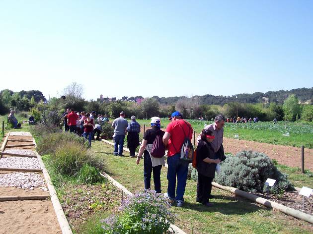 L'Hort de la Sínia L'Hort de la Sínia