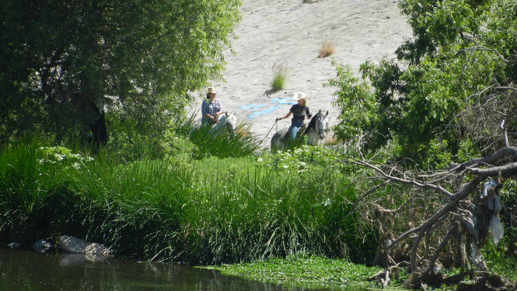 Horseback riding by the L.A. River