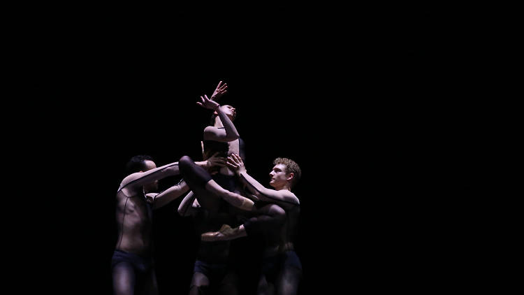 Jacopo Godani / Dresden Frankfurt Dance Company