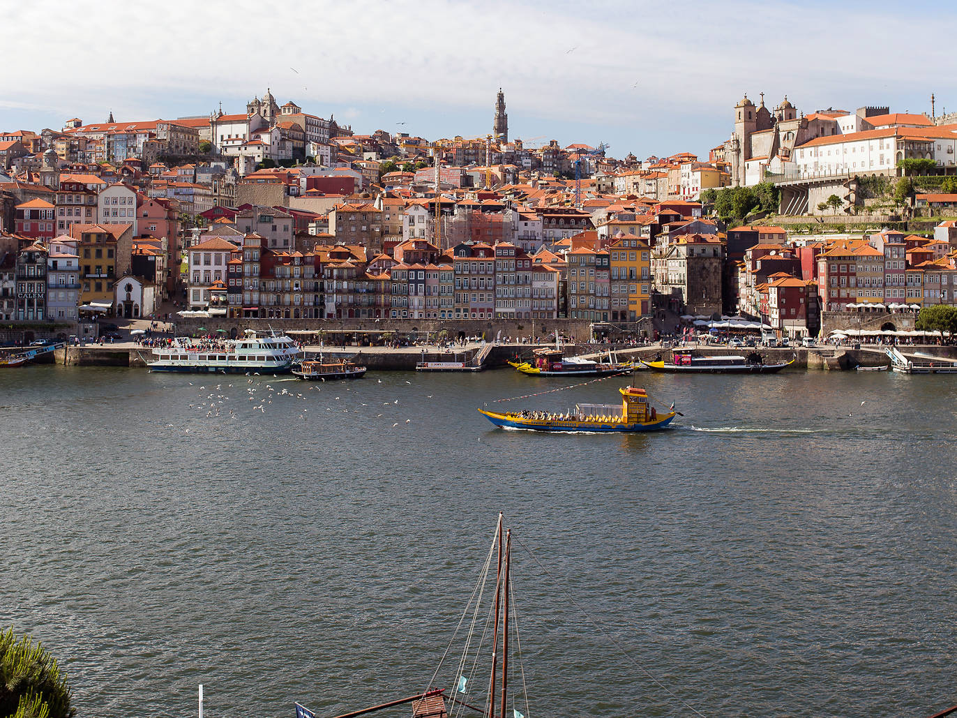 Porto city guide – essential visitor information for Porto