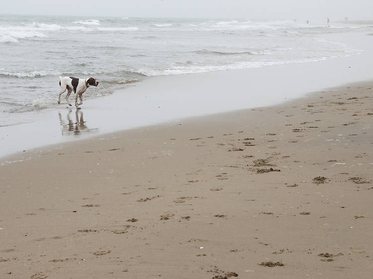 Fort Funston