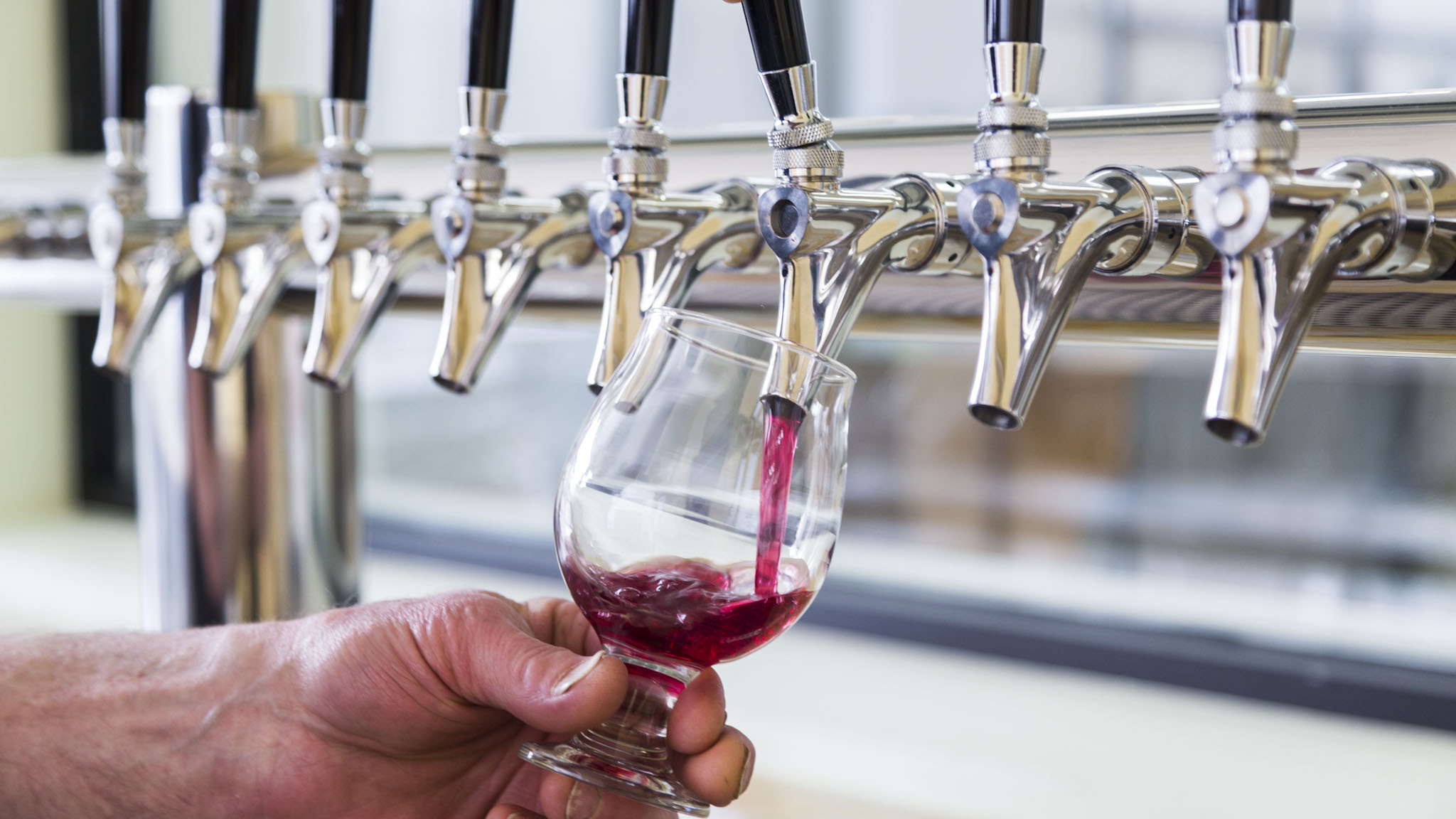 Wild Blossom Meadery Bars in Washington Heights, Chicago